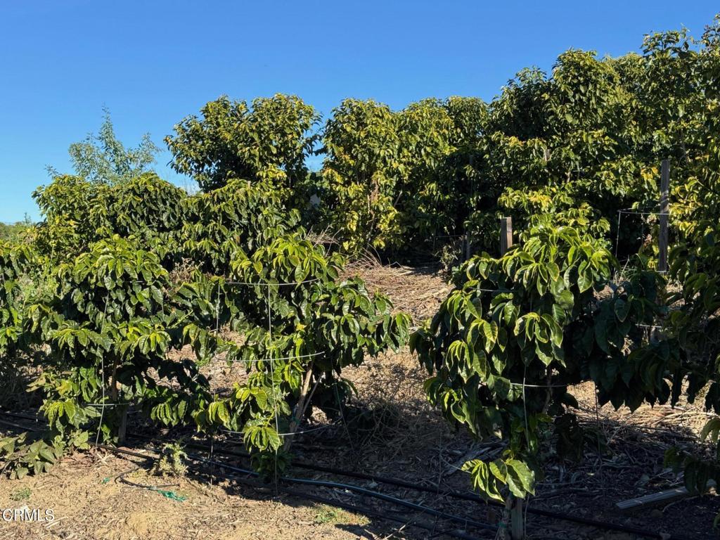 MLS #V1-35211 image #2