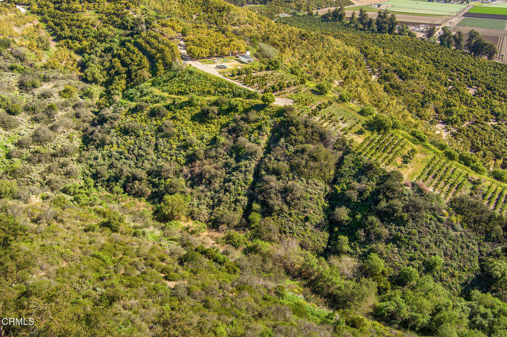 MLS #V1-35211 image #20