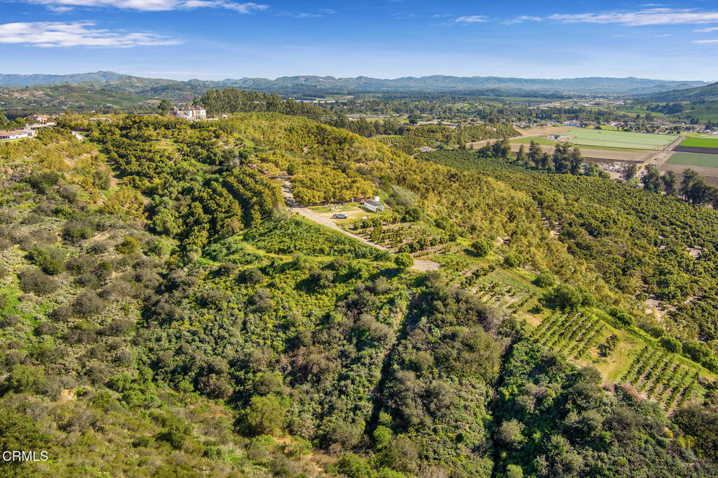 MLS #V1-35211 image #21