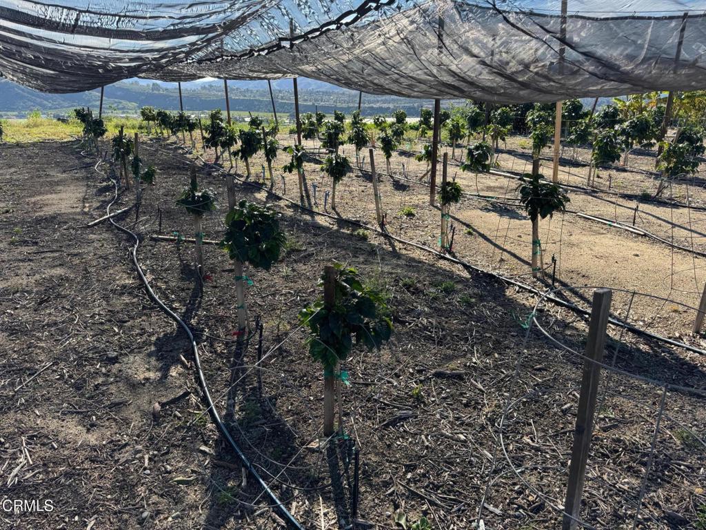 MLS #V1-35211 image #4