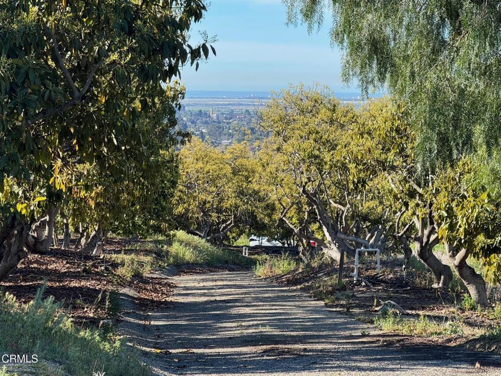 MLS #V1-35211 image #5