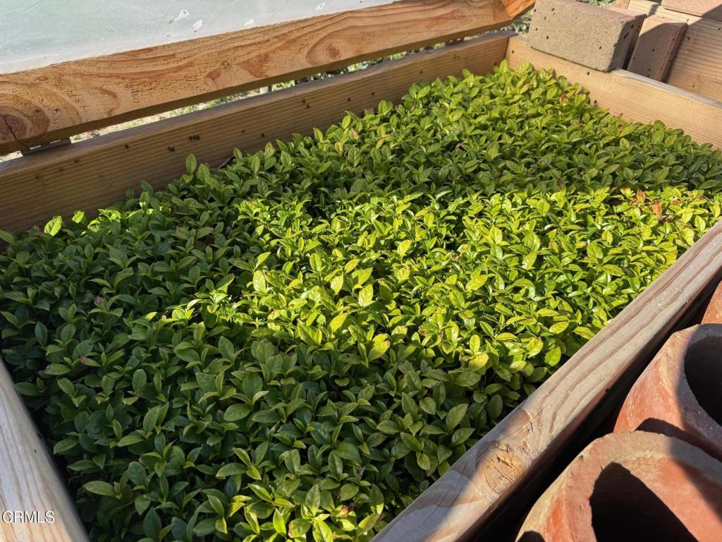 MLS #V1-35211 image #7