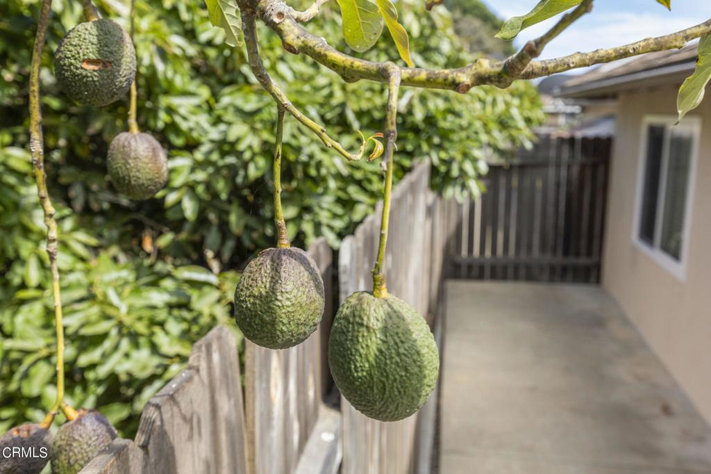 MLS #V1-35241 image #24