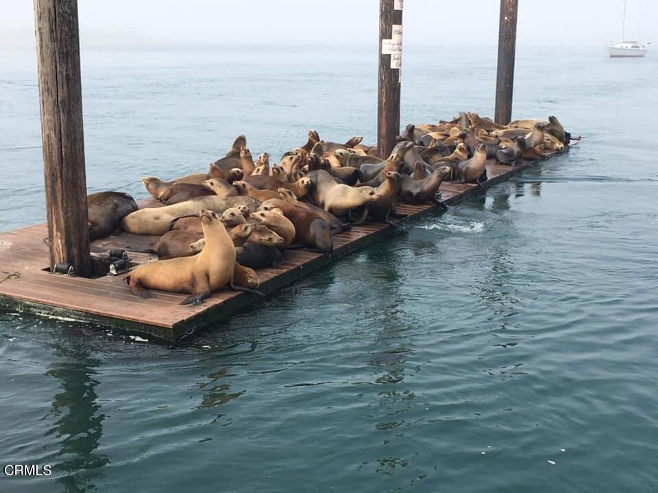 MLS #V1-35284 image #53