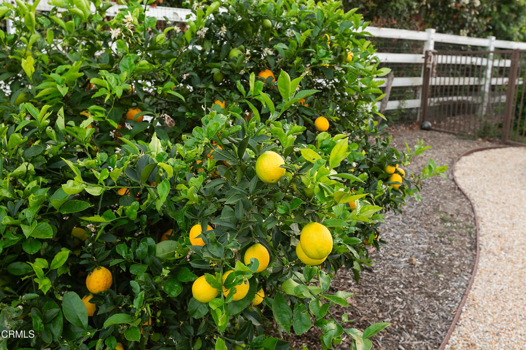 MLS #V1-35432 image #3