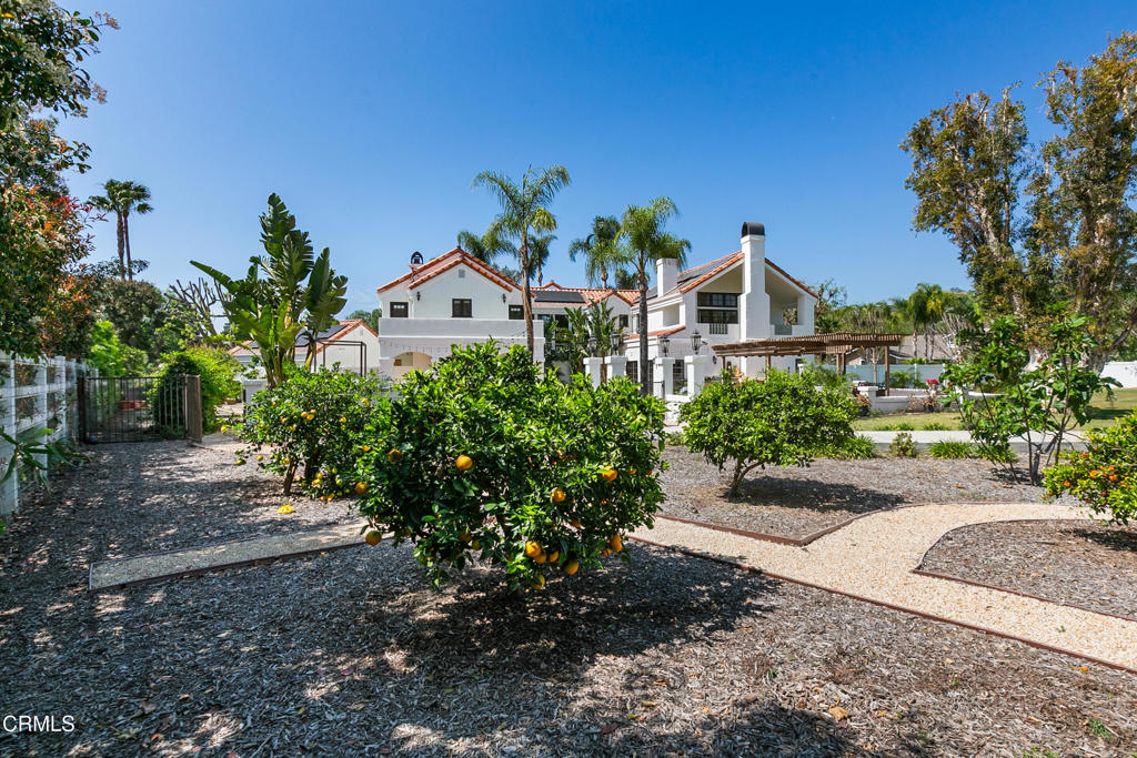 MLS #V1-35432 image #54