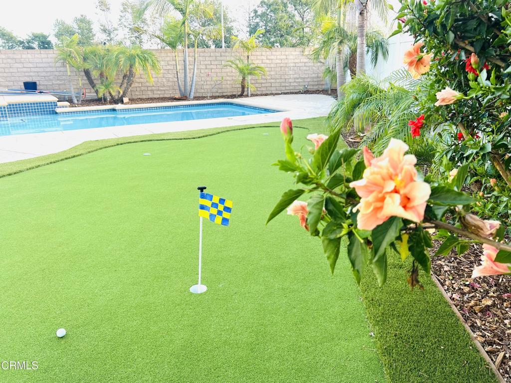 MLS #V1-35433 image #6