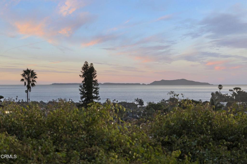 MLS #V1-35466 image #32