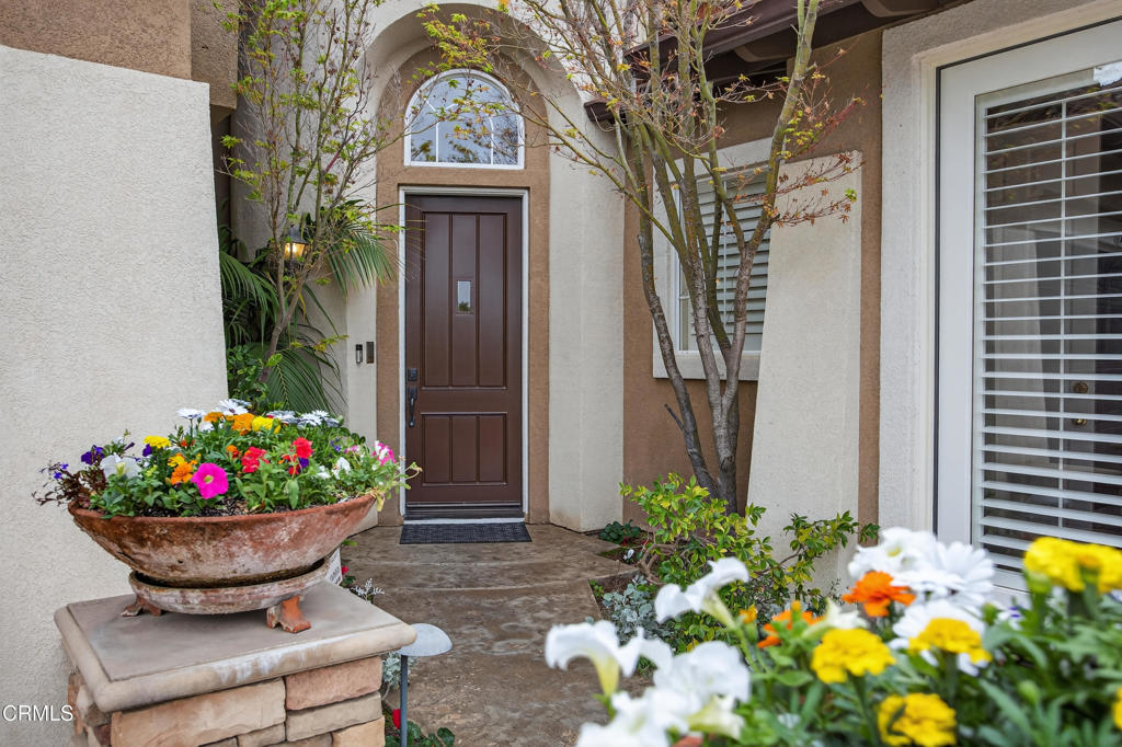 MLS #V1-35563 image #4