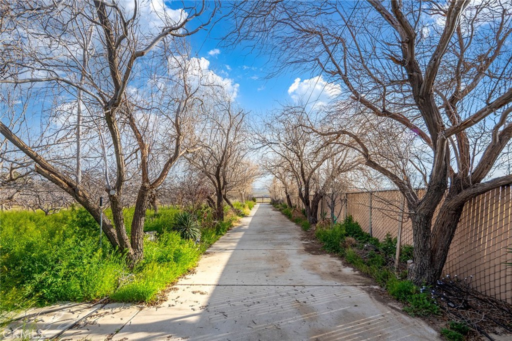 MLS #WS26050618 image #3