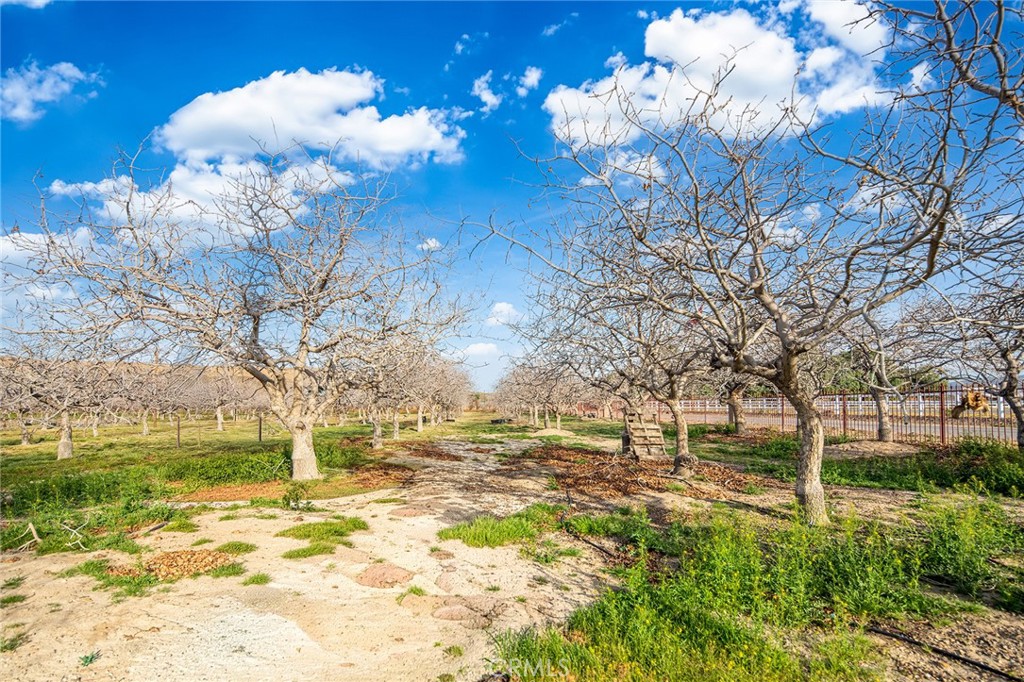 MLS #WS26050618 image #50