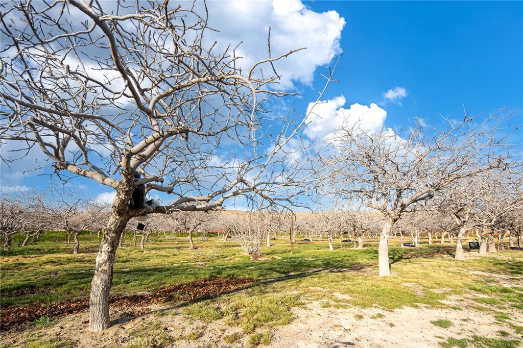 MLS #WS26050618 image #51