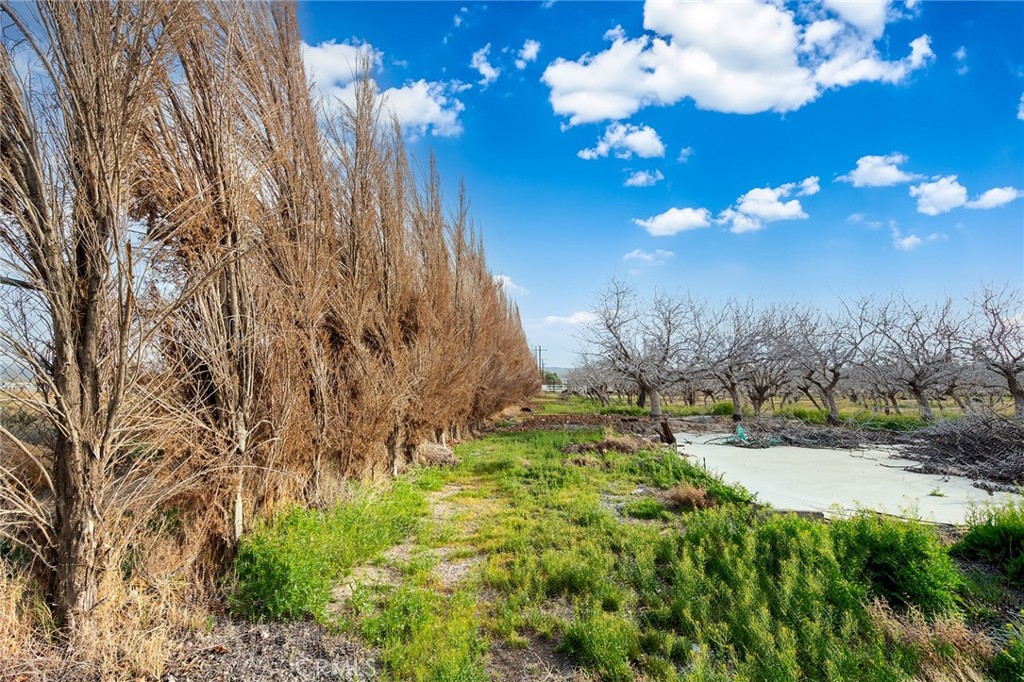 MLS #WS26050618 image #54