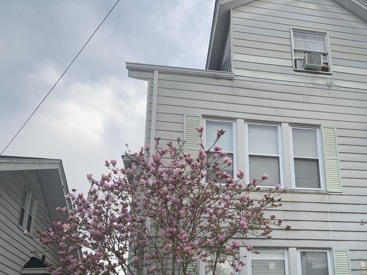 MLS #24172197 image #0