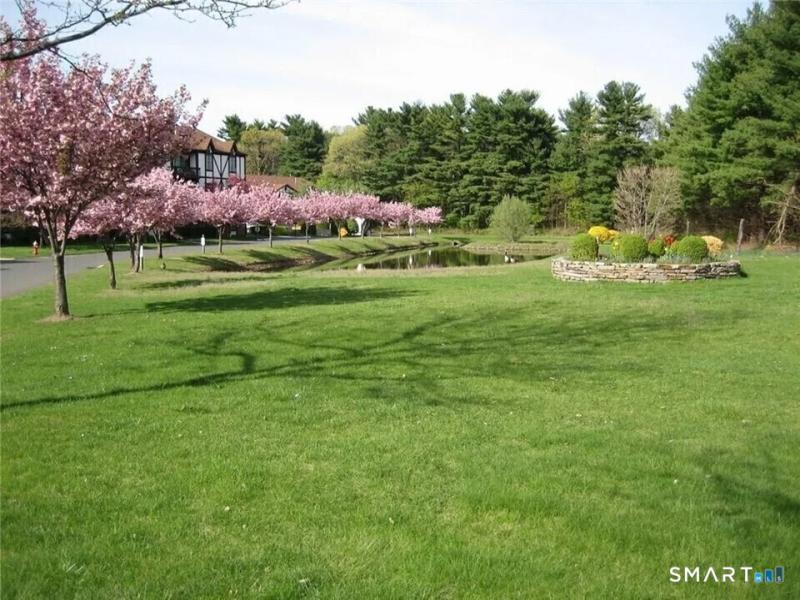 MLS #24189947 image #0