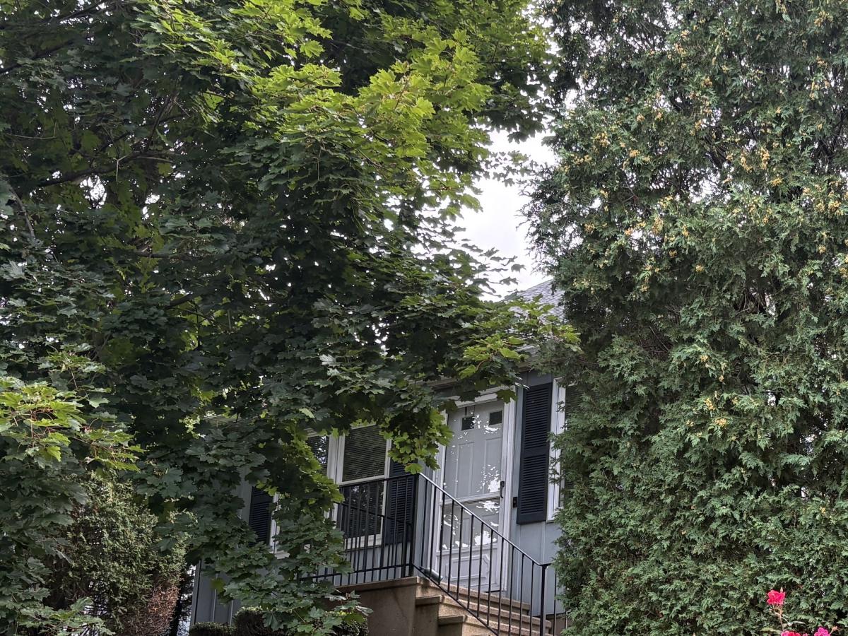 MLS #24192460 image #0