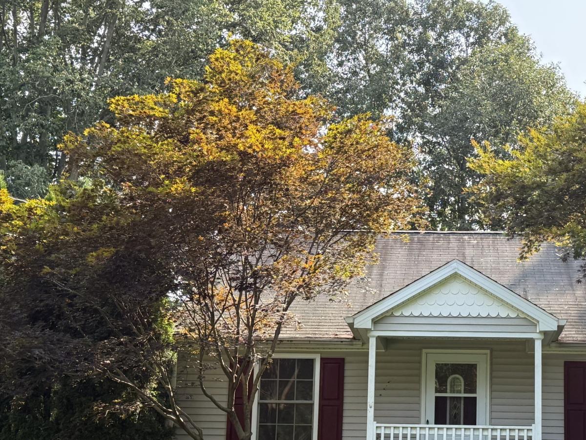 MLS #24196696 image #0