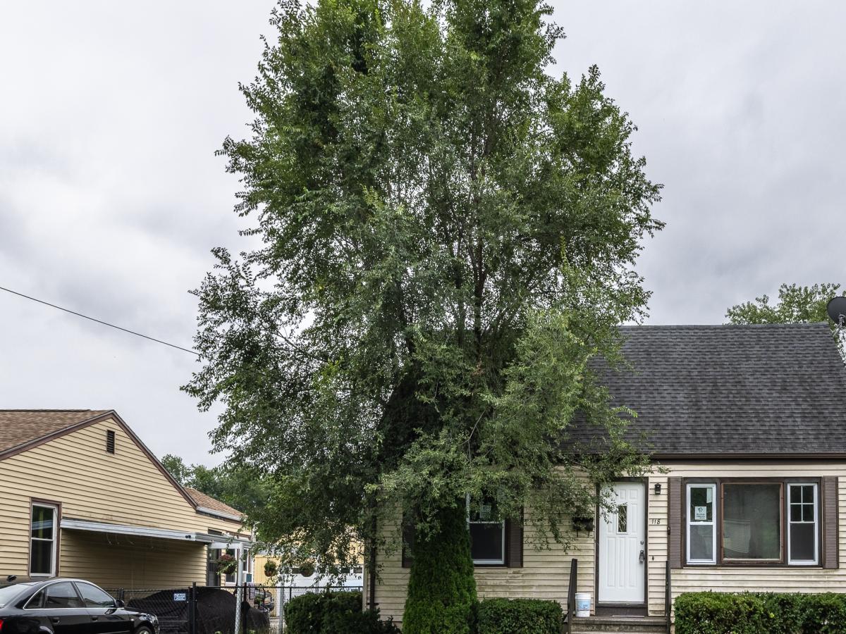 MLS #24201505 image #0