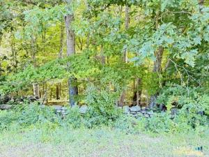 MLS #24201528 image #0