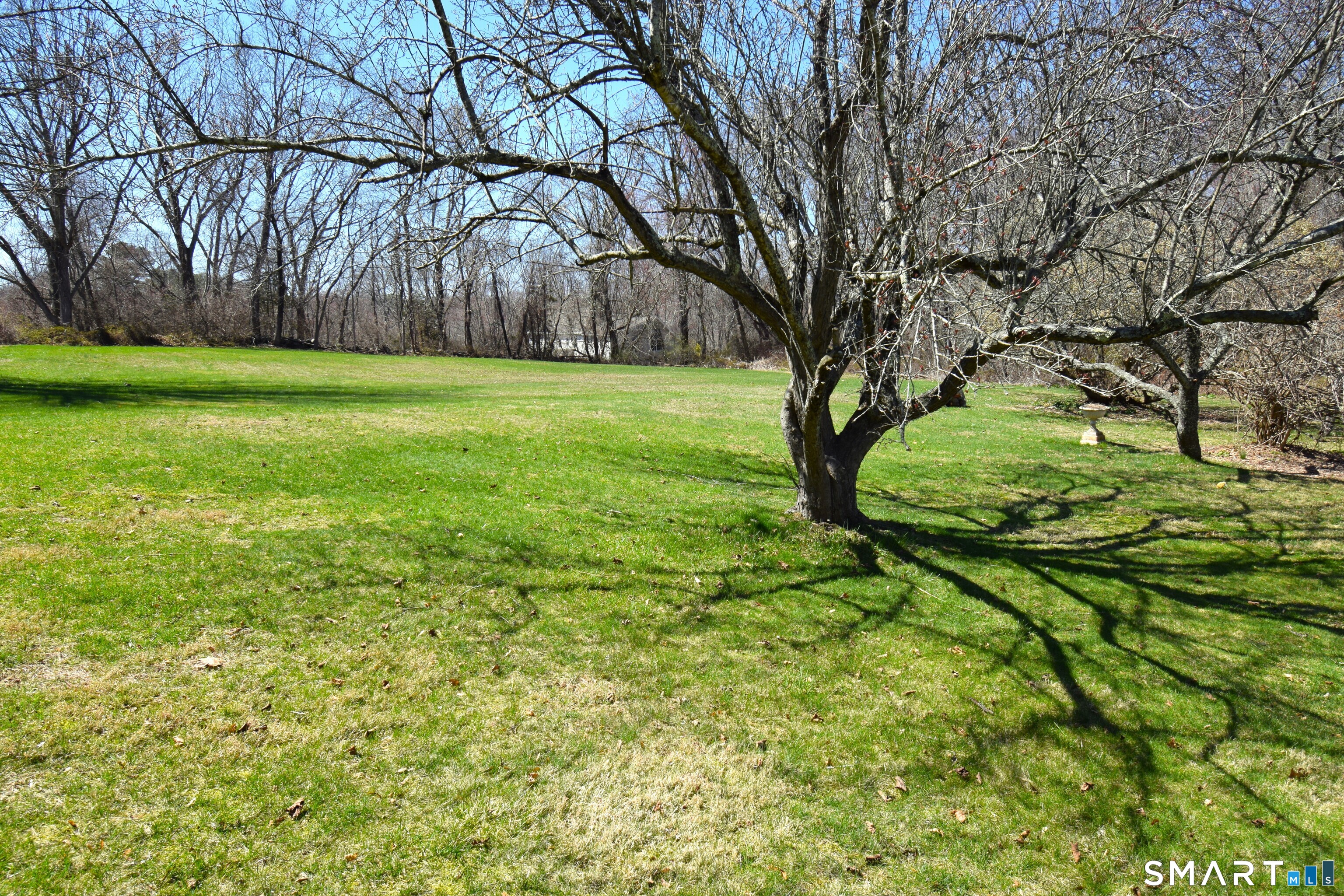 MLS #24210111 image #3