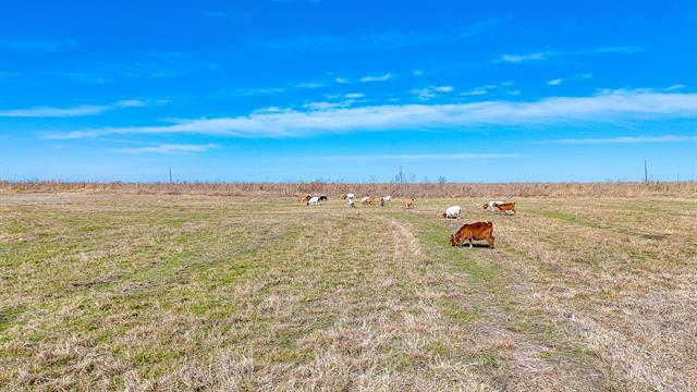 MLS #21133001 image #0