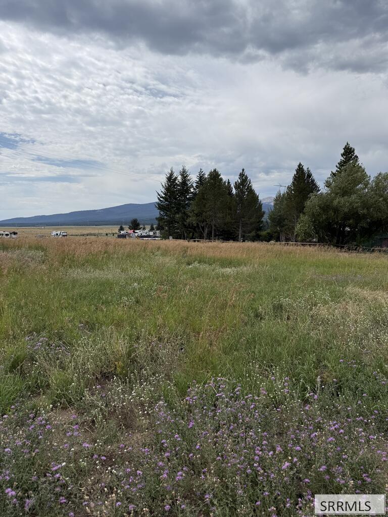 MLS #2189359 image #0