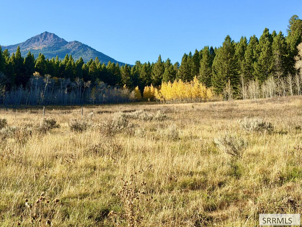 MLS #2189585 image #0